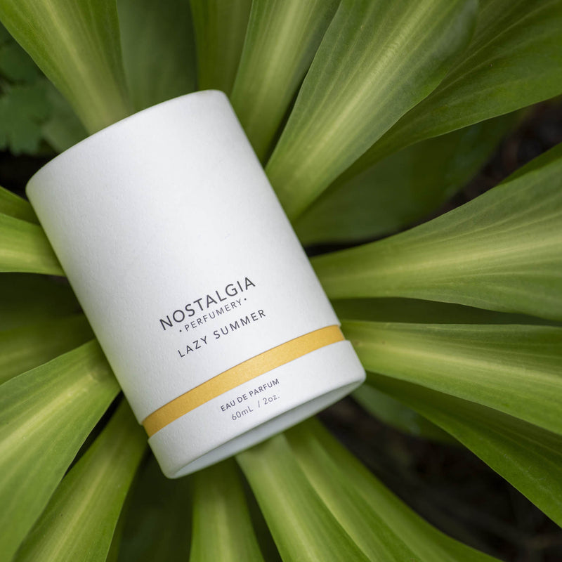 Lazy Summer eau de parfum in a yellow and white case over an exotic green plant
