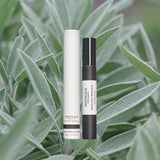 Midnight Madness travel size perfume over sage background green leaves black bottle