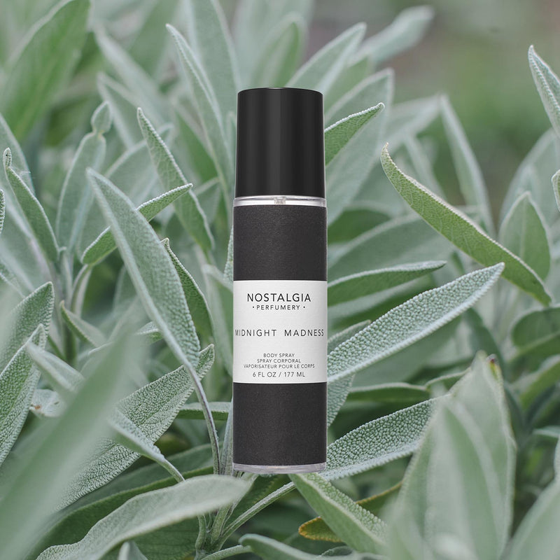 Midnight Madness mist sage green background nostalgia leaves